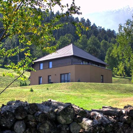 Puenta Aparthotel Криница-Здруй Екстериор снимка